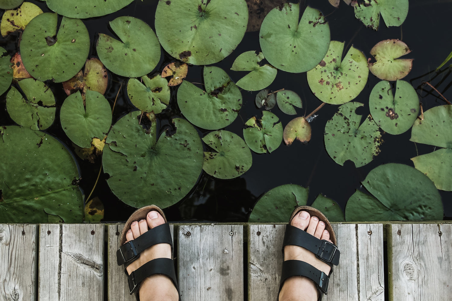 Sandals