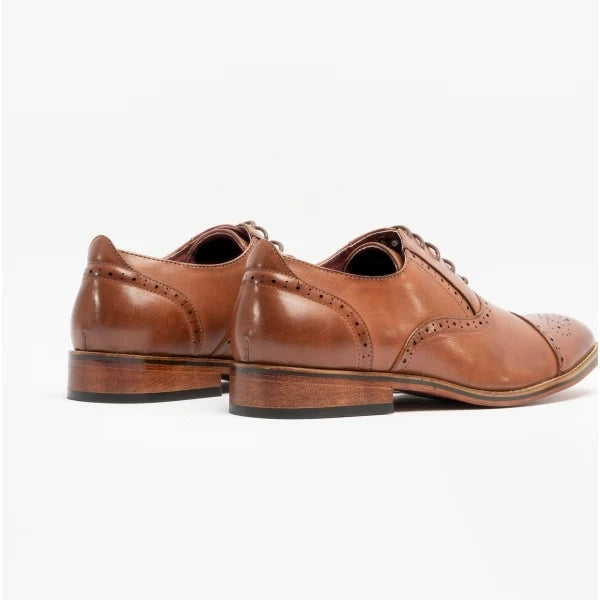 Goor FRANCIS Oxford Lace Up Shoes - M516BY - Brown