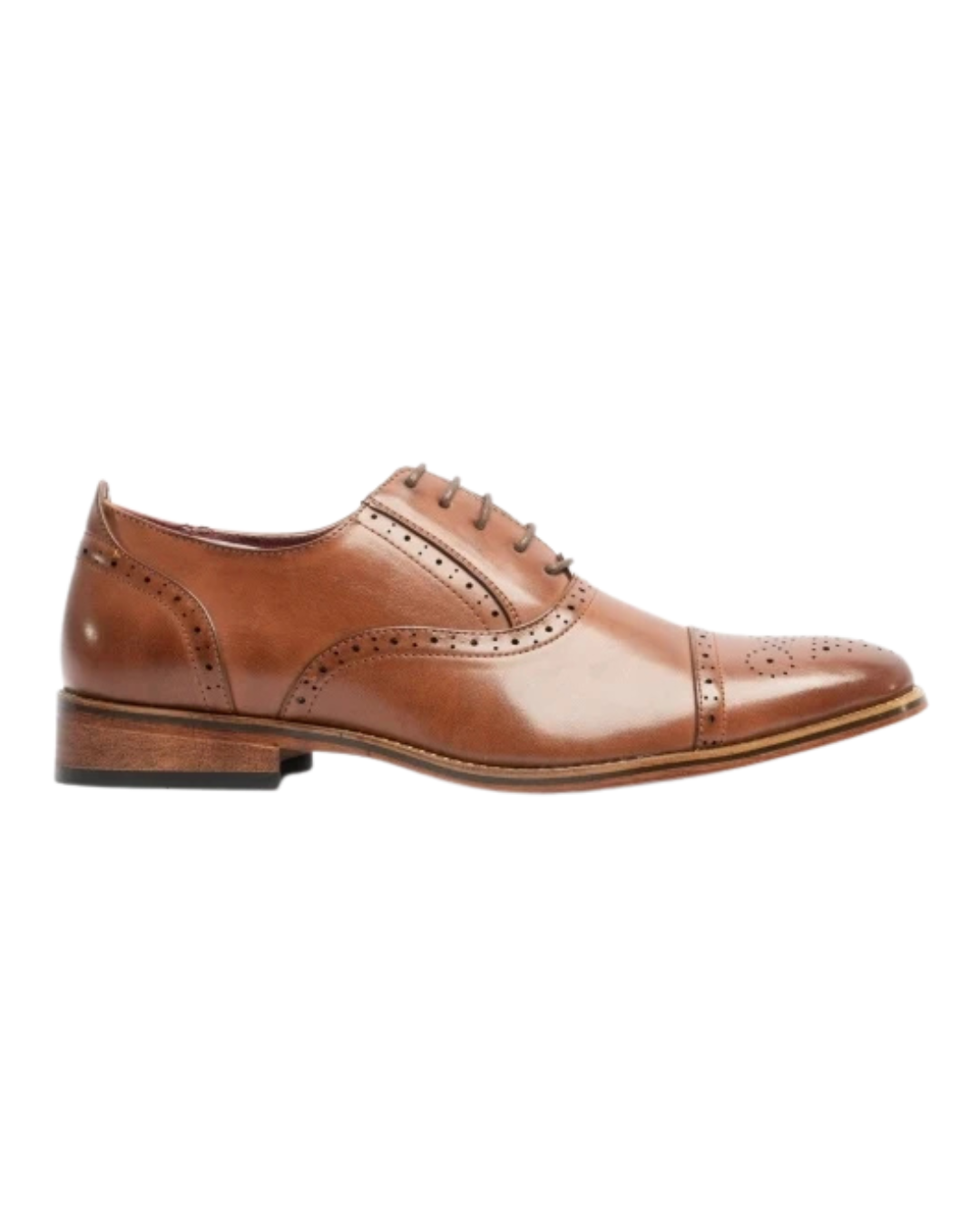 Goor FRANCIS Oxford Lace Up Shoes - M516BY - Brown