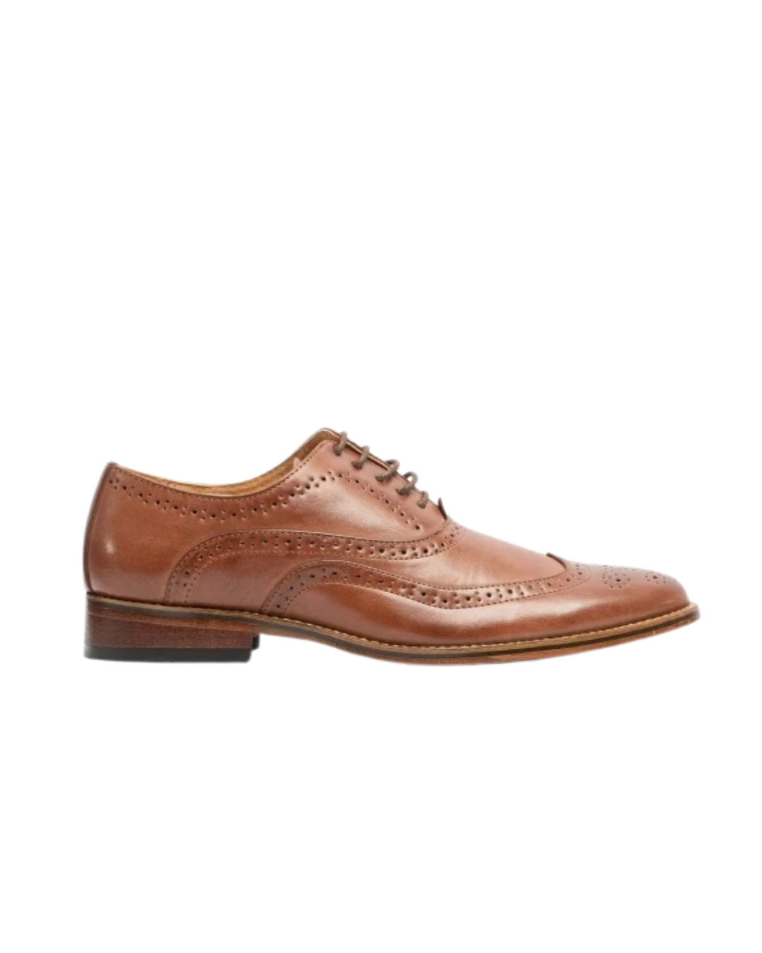 Goor MASON Mens Brogue Oxford Shoes - M9556B - Brown